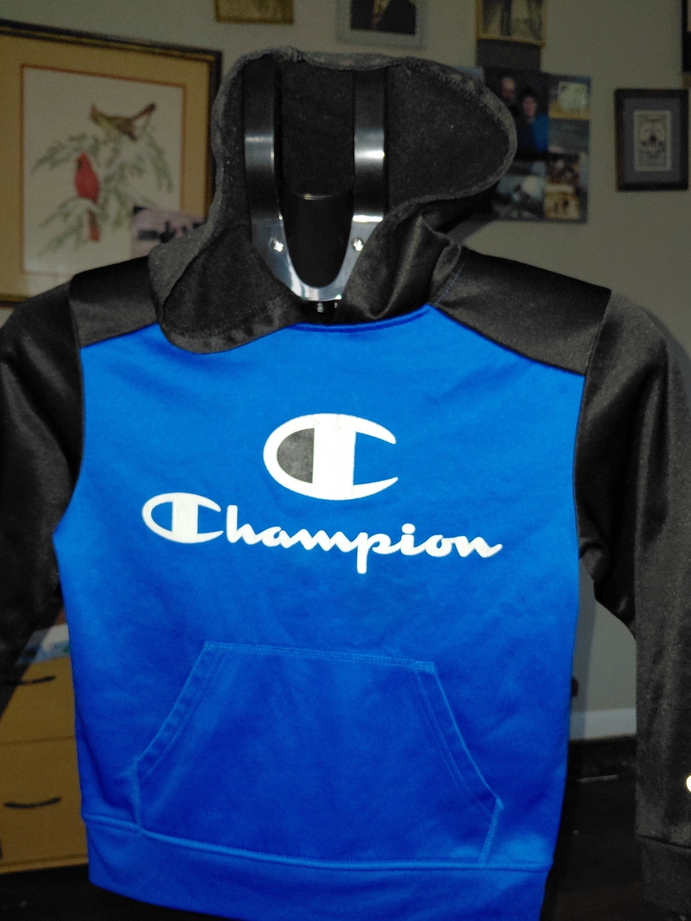 Champion Blue and Black Logo Pullover Hoodie